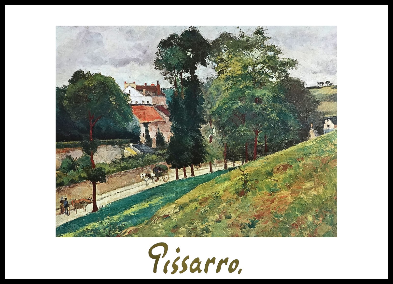 EGIM PISARRO-190